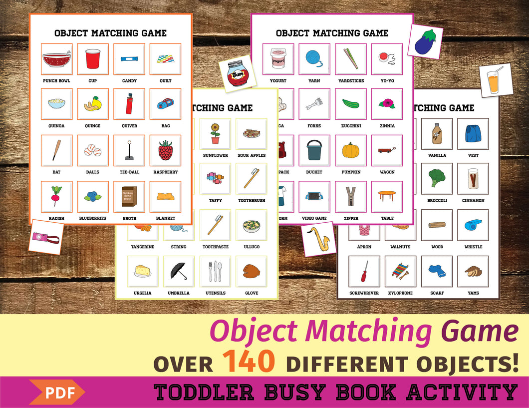 Object Matching Toddler Activity