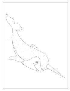 Narwhal Activity Book Volume Two